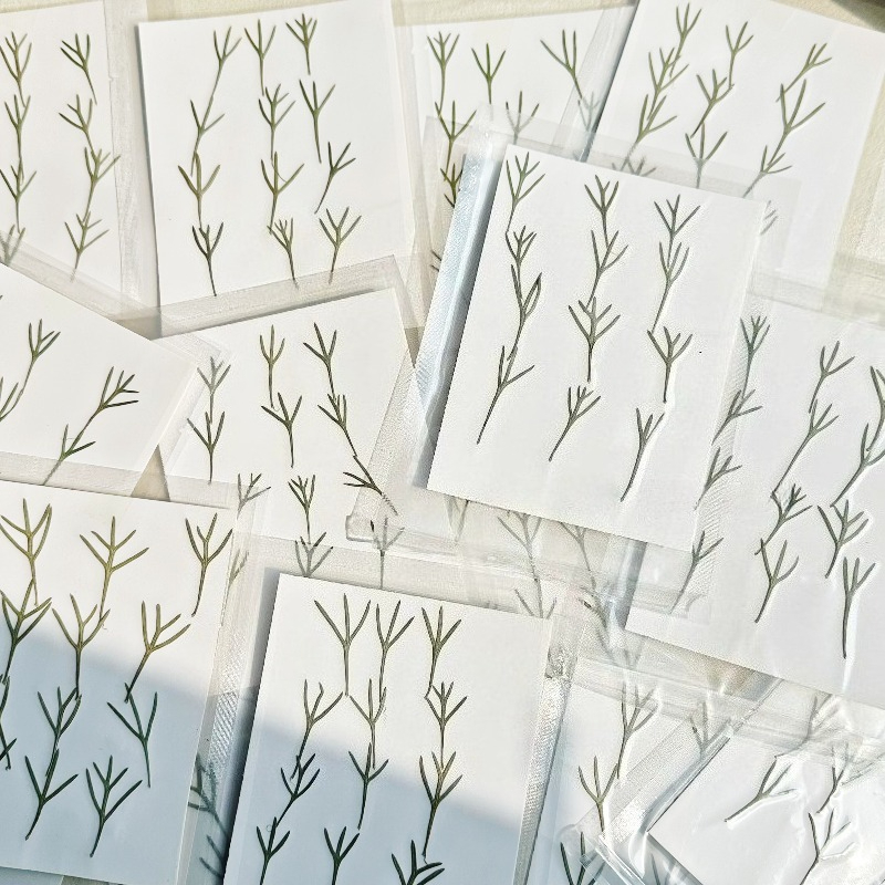 24 pezzi, Foglie di Achillea P - Resin Art Bookmark recensione e prezzo