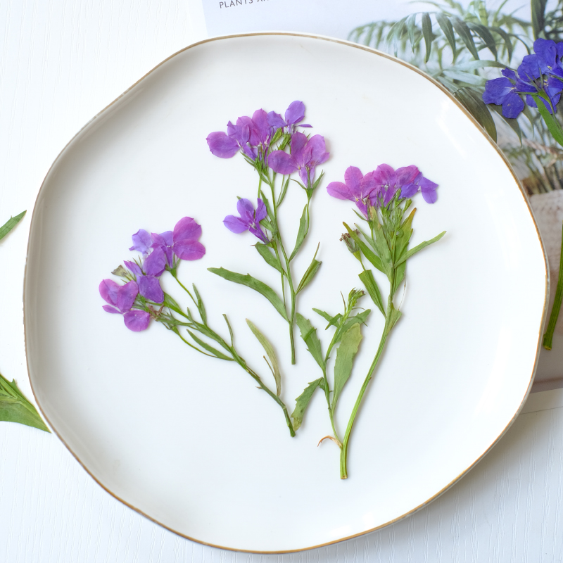 6 Pezzi/8-13cm, Fiori Pressati - Resin Art Bookmark recensione e prezzo